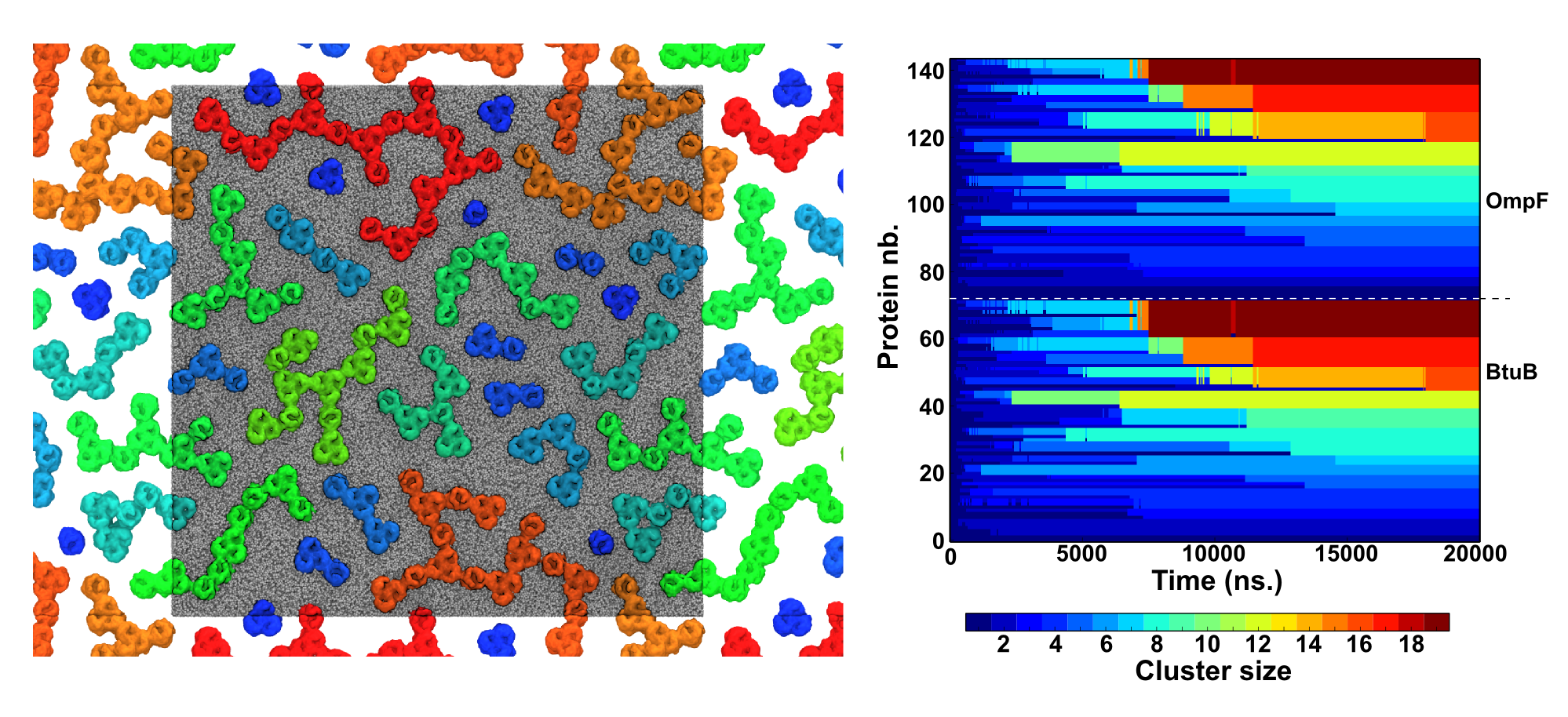 clustering_323K_coloring.png