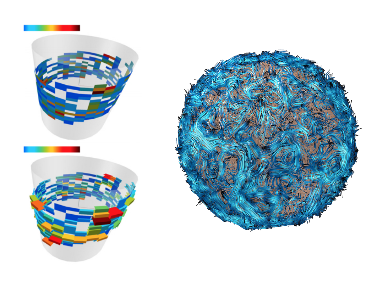 <center>Lipid interactions around a protein simplied by a cyinder. Streamline representation of lipid flows in a vesicle model. </center>